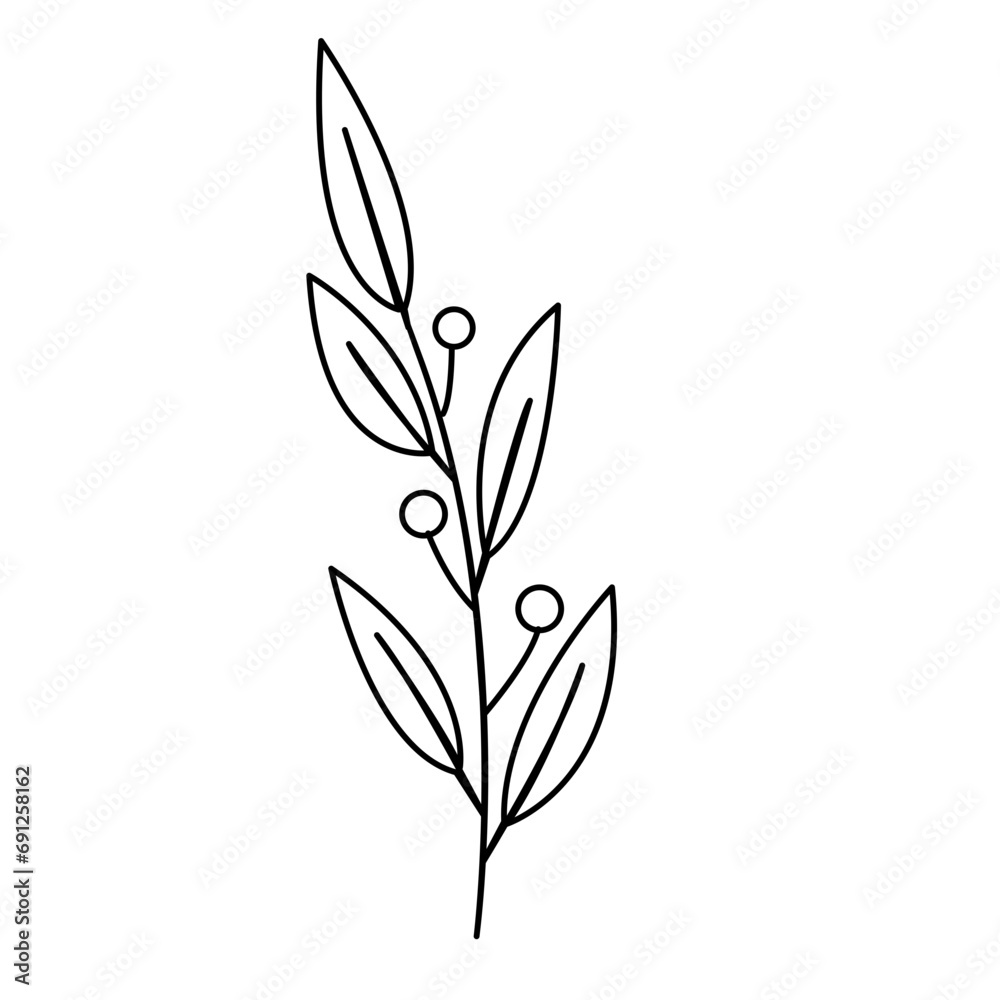Floral and Flower Line Art Design, Minimalist Plant Illustration