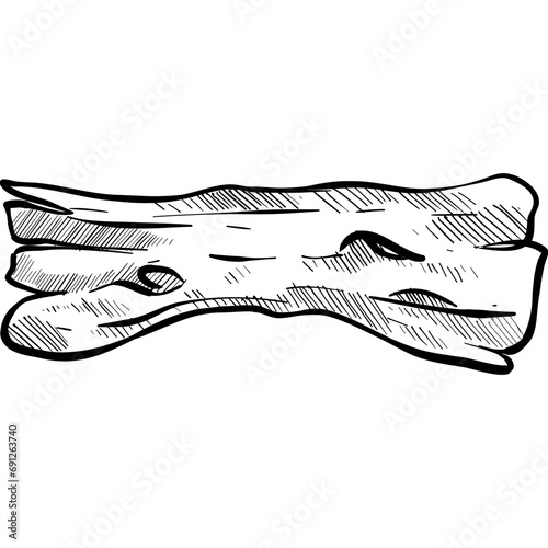 wood handdrawn illustration