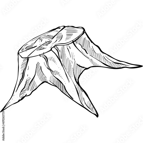 wood handdrawn illustration