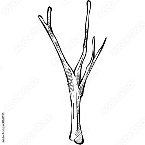 wood handdrawn illustration