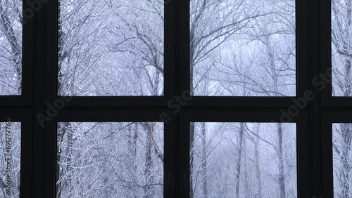 Tree branches covered with frost and swaying in the wind outside the window. Winter landscape with white snow