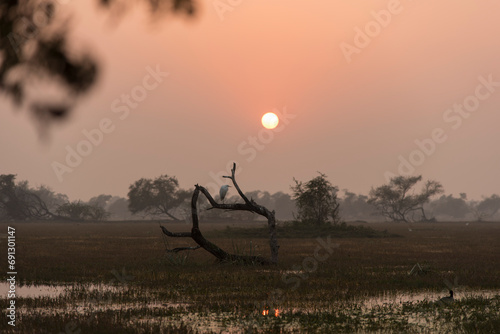 Sunset scene in the wetlands. photo