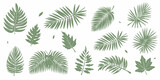 set of palm and other leaves. vector illustration
