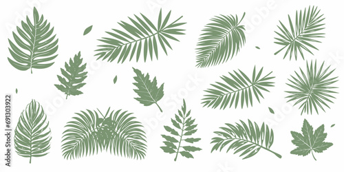 set of palm and other leaves. vector illustration