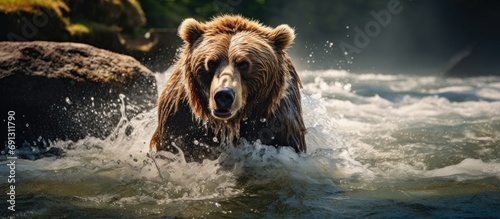 Bear at Brooks Falls, rapid water blurred, taken with slow shutter and motionless bear.