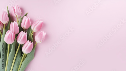 pink tulips © Koihime