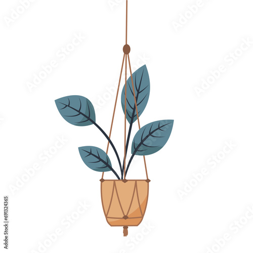 Macrame plant hanger with house plant isolated on white background.