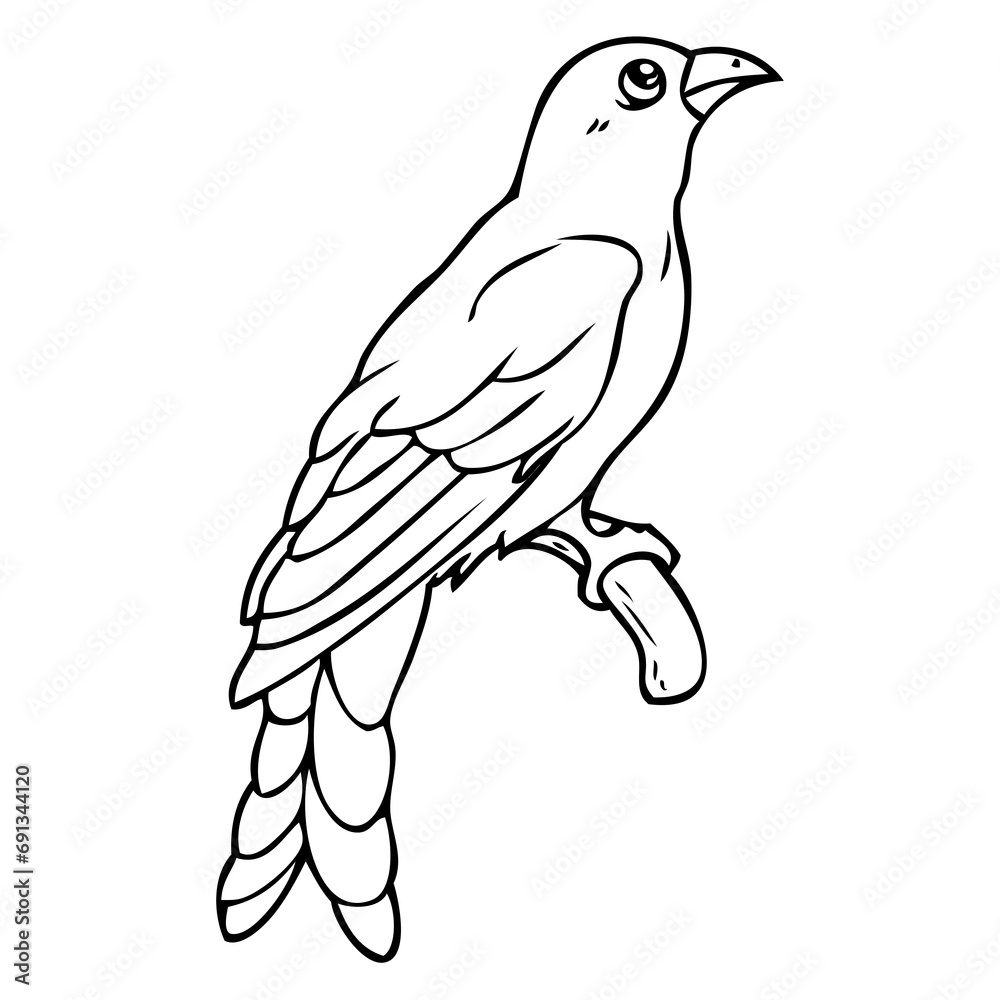 bird line vector illustration bird line vector illustration