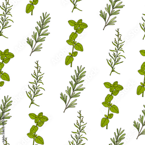 Seamless pattern with culinary herbs and spices