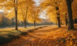 Beautiful bright colorful autumn landscape background