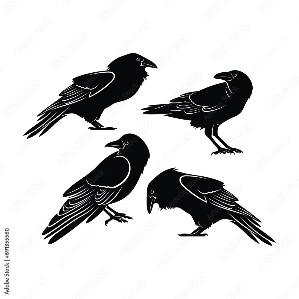 Naklejka premium Raven bird silhouette vector ilustration design isolated
