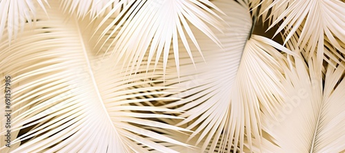 An abstract background image for creative content in a wide format, featuring the lush and tropical elegance of palm leaves, creating a versatile composition. Photorealistic illustration