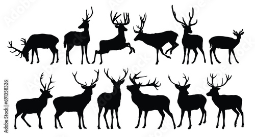 Set silhouettes of forest deer.
 photo