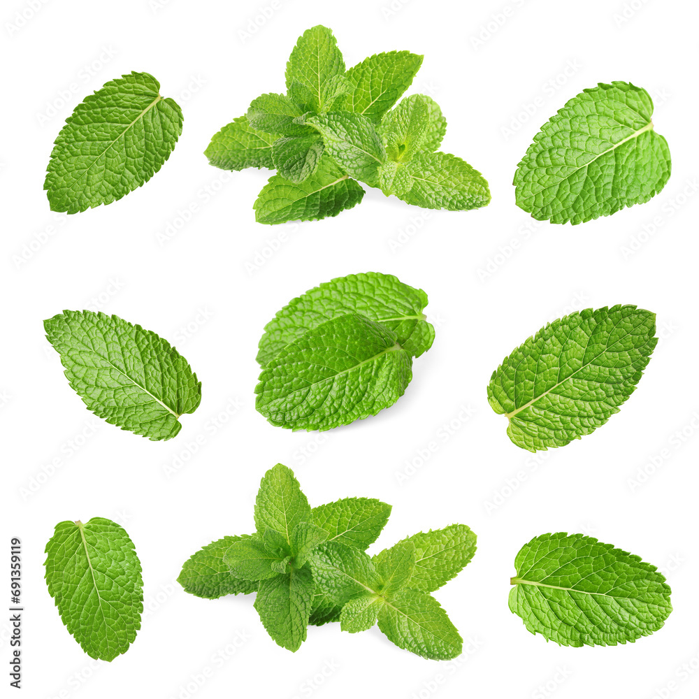 Fresh mint leaves isolated on white, set Fresh mint leaves isolated on white, set