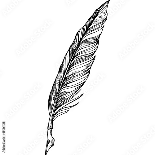 quill handdrawn illustration