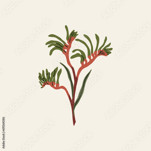 Flat vector kangaroo paw illustration
