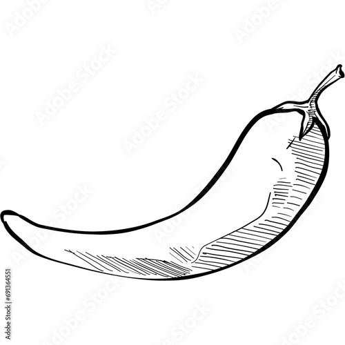 chilli handdrawn illustration