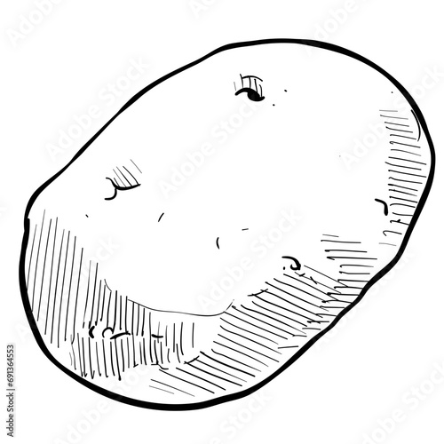 potato handdrawn illustration