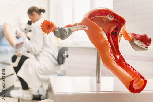 Medical examination in a gynecologist's chair, taking care of women's health. Silicone demonstration model of the female reproductive system (uterus, vagina, ovaries) close-up in the foreground photo