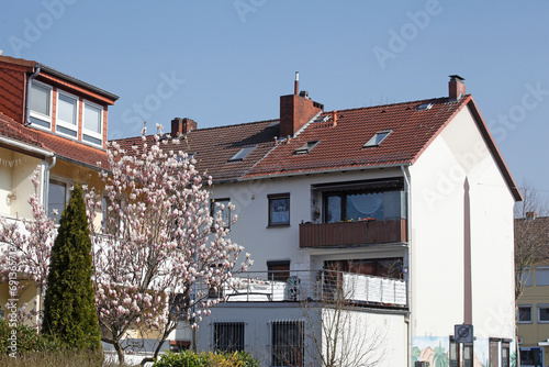 Wohngebäude im Frühling mit Magnolienblüte