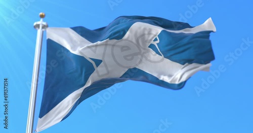 Scottish flag with the word Yes to the independence waving. Loop photo