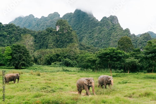 Photography Elephant Hills - Khao Sok National Park