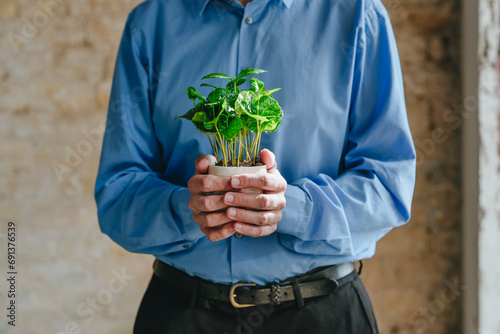 Hands of businessman holding potted plant