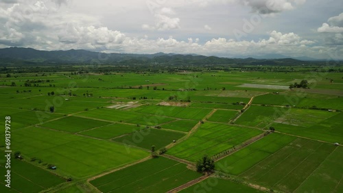Rice Field at Mae Ai District, Chiang Mai, Thailand 