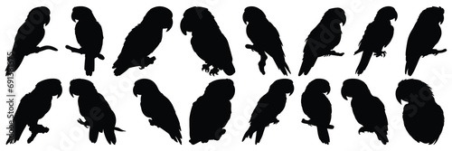 Parrot tropic silhouettes set, large pack of vector silhouette design, isolated white background photo