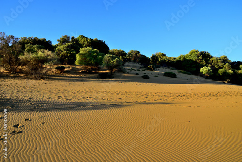 sand dunes - Ammothines, Gomati area, Lemnos island, Greece, Aegean Sea