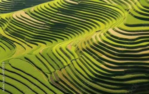 Scenic Terraced Rice Fields at Sunset