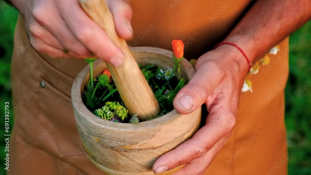 a man collects medicinal herbs in his hands. Selective focus. nature.