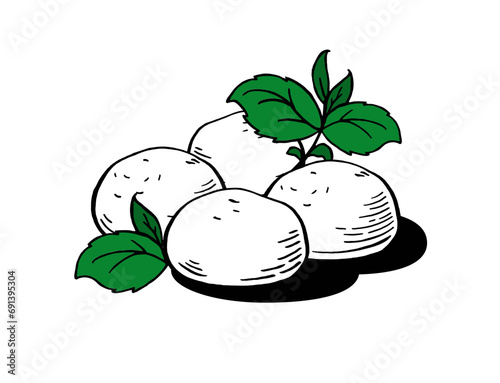 Mozzarella cheese balls for restaurant menus Packaging Vector Illustration Hand drawn