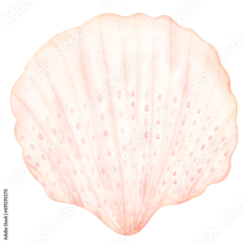 Sea shell, shell, under the sea