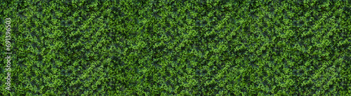 Artificial lawn grass stock image © Ratheesh