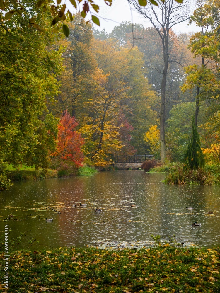 Poland, pszczyna lake in autumn scenery