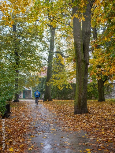 Obraz na płótnie Poland, Pszczyna Man riding a bike in the park in autumn scenery w salonie