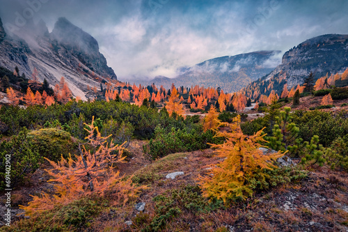 Gloomy autumn view of Tre Cime Di Lavaredo National Park with orange larch trees. Fantastic morning scene of Dolomite Alps, Auronzo Di Cadore, Italy, Europe. Beauty of nature concept background. photo