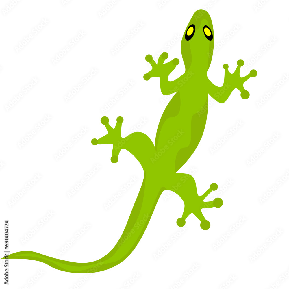 Fototapeta premium iguana