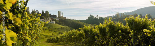 Banner The road along the hillside between rows of grapes is overgrown with grass. Austria