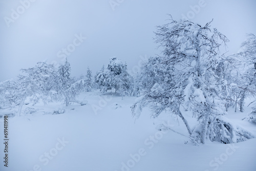 Принти на полотні Scenic view of Saariselka winter wonderland in Lapland, Finland