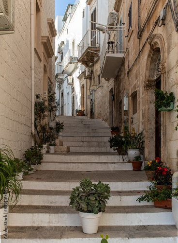 Fototapeta Naklejka Na Ścianę i Meble -  Ostuni, Italy - one of the most beautiful villages in South Italy, Ostuni displays a wonderful Old Town with narrow streets and alleys 