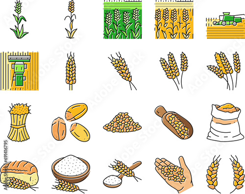 wheat grain bread harvest icons set vector. agriculture cereal, crop food, plant seed, farm ear, organic barley, natural bakery wheat grain bread harvest color line illustrations