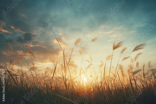 Tranquil summer sunset over vibrant field. Warm glow of sun kisses landscape bathing agriculture in beautiful yellow light. Autumnal scene captures essence of rural beauty photo