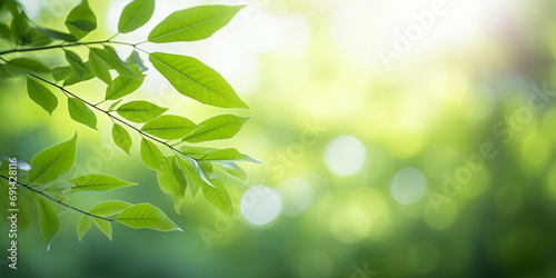 Tree branch with green leaves and blurred background, nature, Generative AI