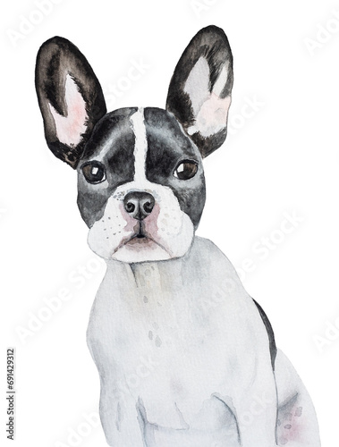 Lovely puppy. Beautiful watercolor drawing. Isolated background. Close-up  indoors. Concept of care  education  obedience training and raising pets