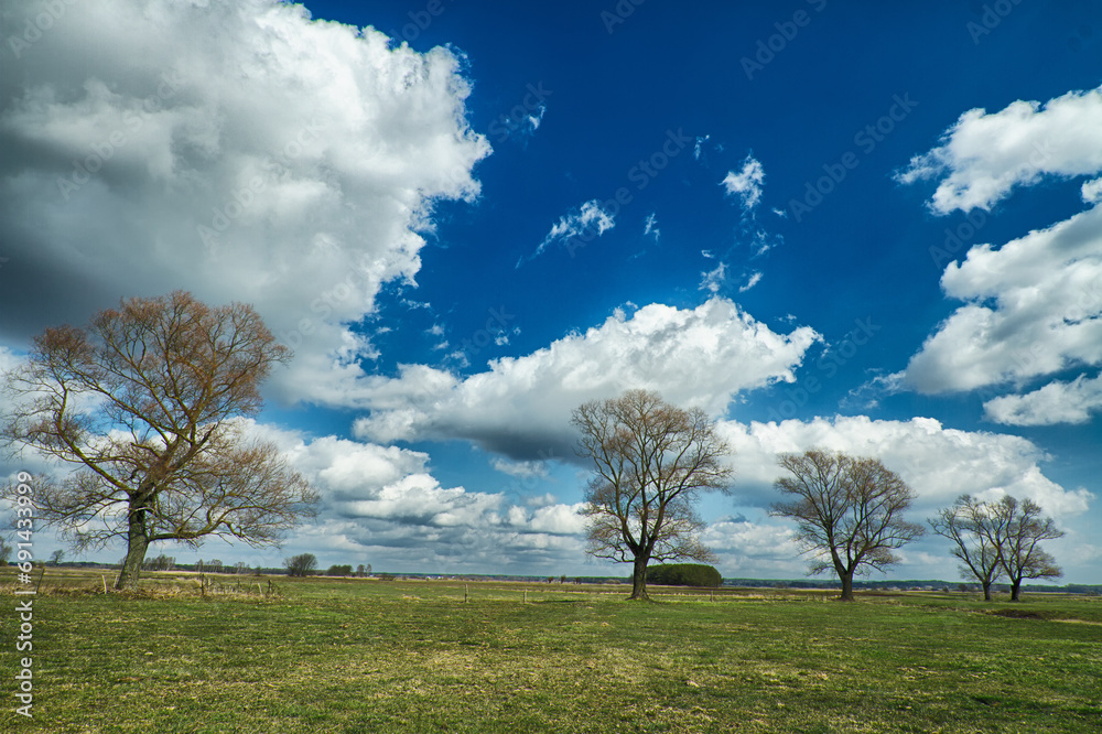 Landscape fields meadows and trees in Narew river valley, Poland Europe, meadows with willow birch trees, early spring time - old vintage filters Landscape fields meadows and trees in Narew river valley, Poland Europe, meadows with willow birch trees, early spring time - old vintage filters
