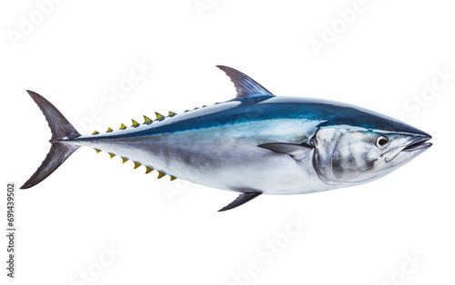 Tuna fish isolated on a transparent background.