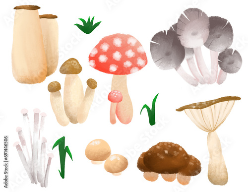 mushrooms