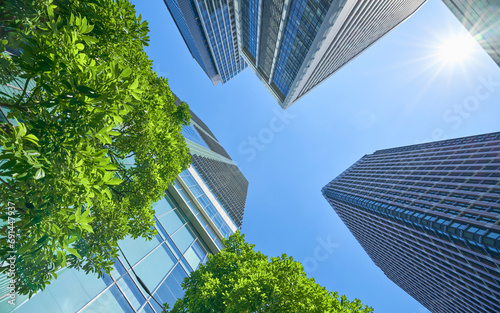 高層ビルを見上げる緑のあるオフィス街の風景 photo